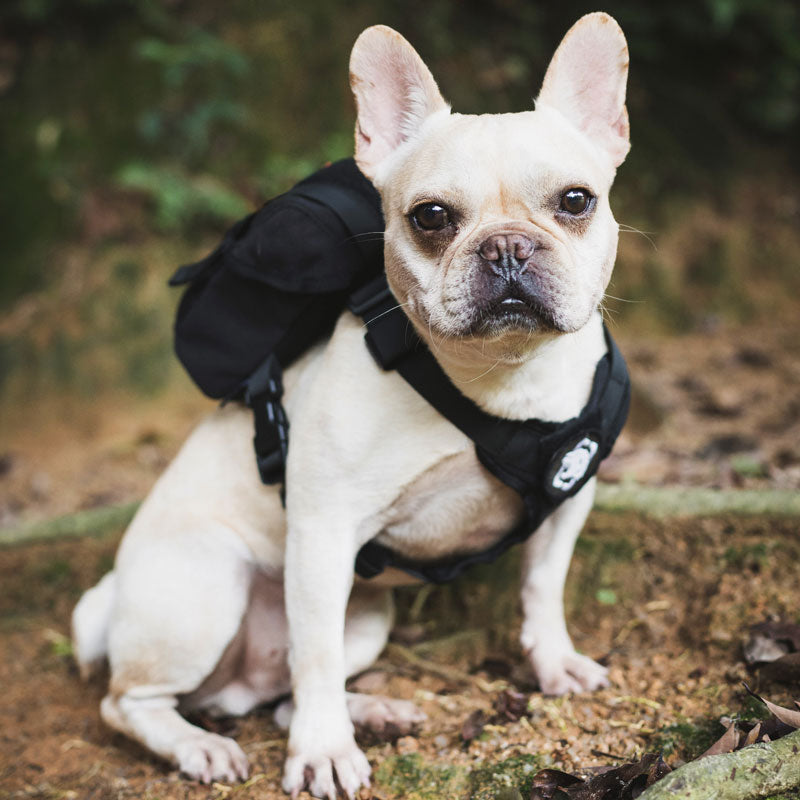 OneTigris EUREKA K9 Backpack Small Dog Treat Tote Pack + Litter Bag Exit for Small Dog Travel Camping